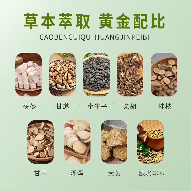 20 pastas de moxibustión para  - Health & Wellness Festival reseña y precio