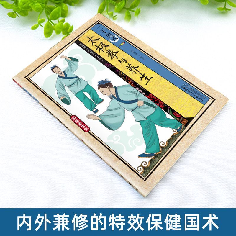 24 Estilos de Tai Chi y Ejerci - Health & Wellness Festival reseña y precio