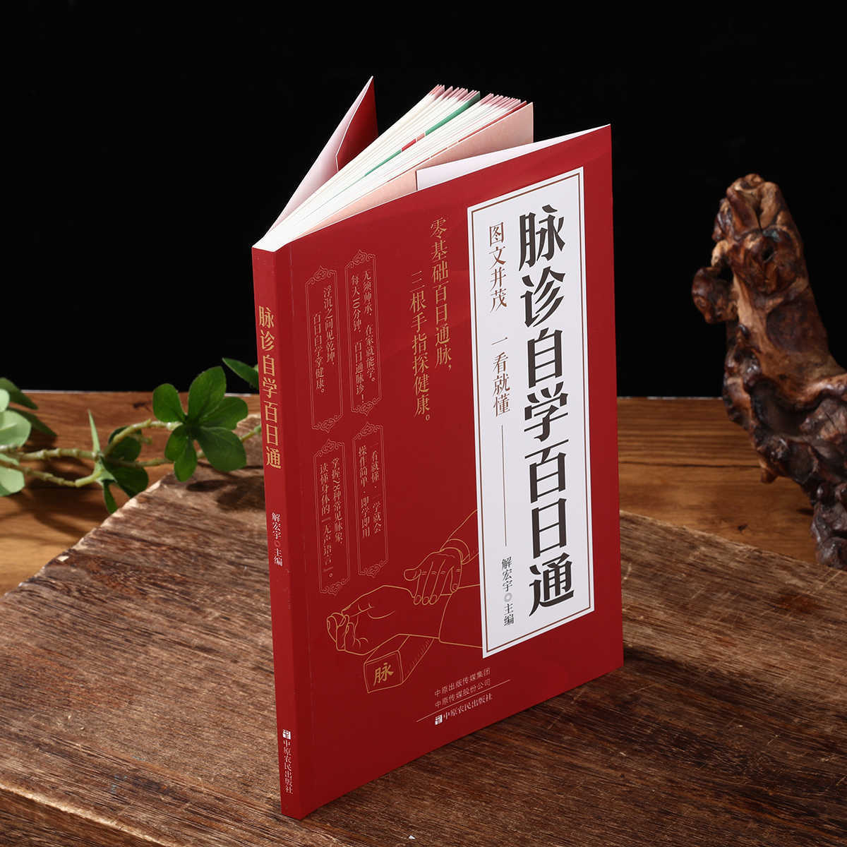 Libro de autoestudio sobre dia - Health & Wellness Festival reseña y precio