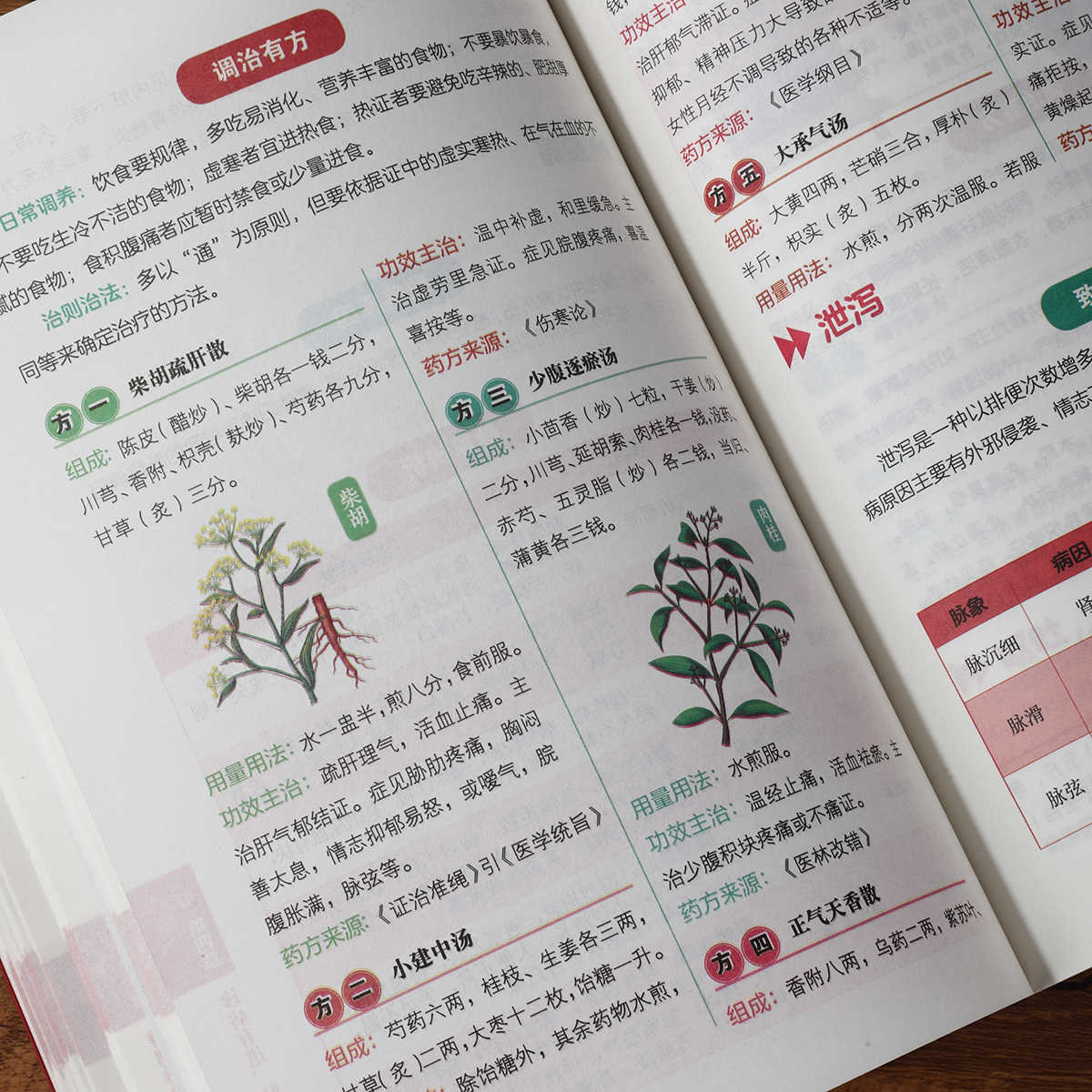 Libro de autoestudio sobre dia - Health & Wellness Festival reseña y precio